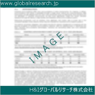 グローバルリサーチ調査資料のイメージ